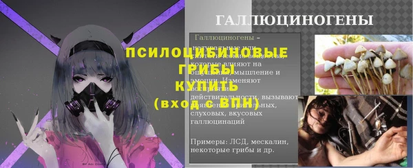 тгк Богданович